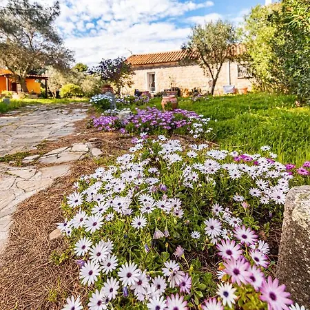 Casa Lilliosa Ferienhaus *