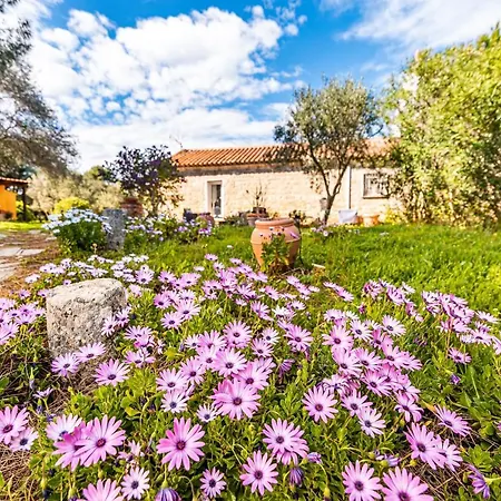 Ferienhaus Casa Lilliosa Campavaglio
