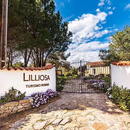 Casa Lilliosa Ferienhaus