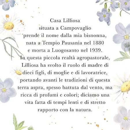 Prázdninový dům Casa Lilliosa Campavaglio